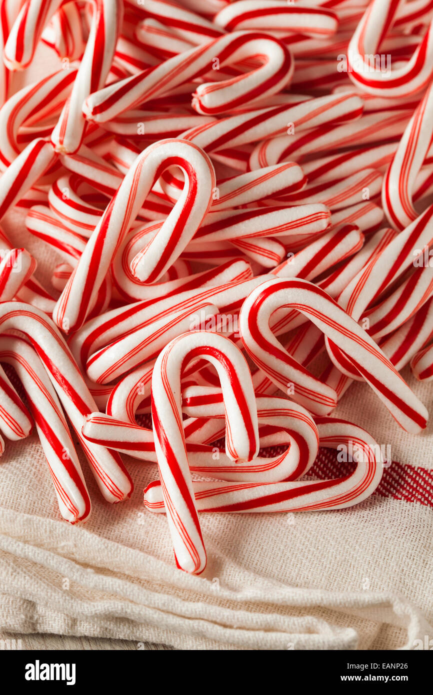 Rote und weiße Mini Candy Stöcke für Weihnachten Stockfoto