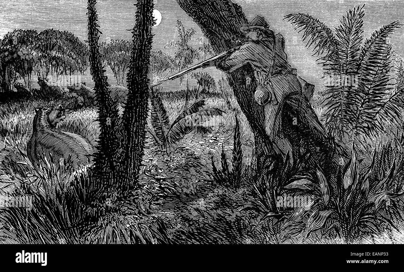 Das Land der Schlangen. Nilpferd jagen, Vintage gravierten Abbildung. Journal des Voyages, Reise-Journal (1879 / 80). Stockfoto