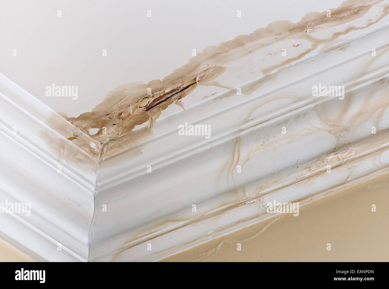 Abblätternde Farbe auf eine innere Decke ein Ergebnis von Wasserschäden verursacht durch ein undichtes Rohr von oben nach unten tropft. Stockfoto