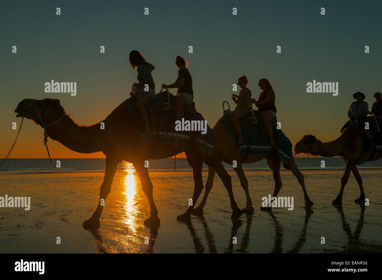 Kamel Fuß am Cable Beach bei Sonnenuntergang, Broome, WA Stockfoto