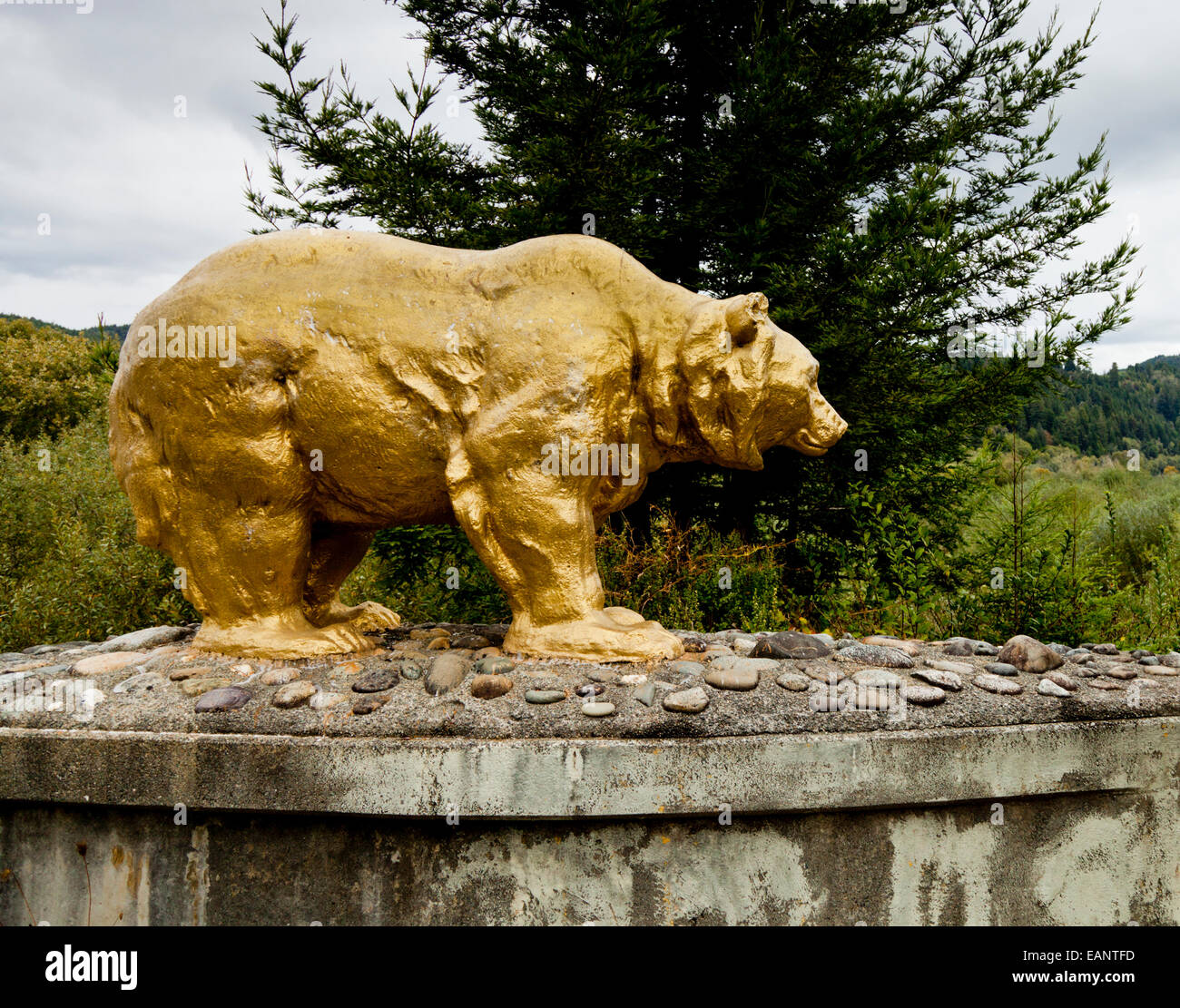 Goldener Bär auf der Brücke tragen Highway 101 über den Klamath River, Kalifornien USA Stockfoto