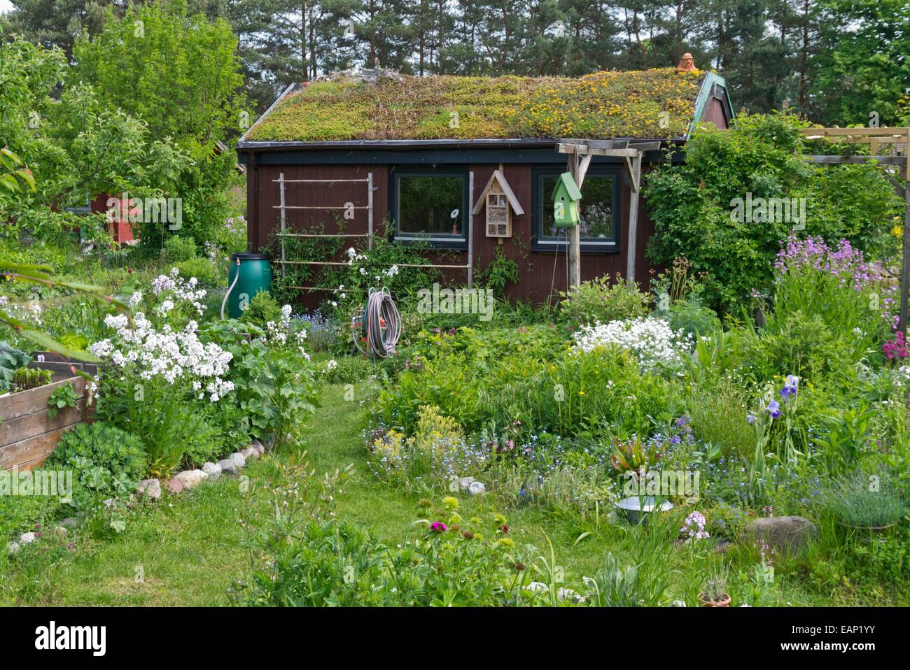 Garten Haus mit grünem Dach in einem natürlichen Garten Stockfoto