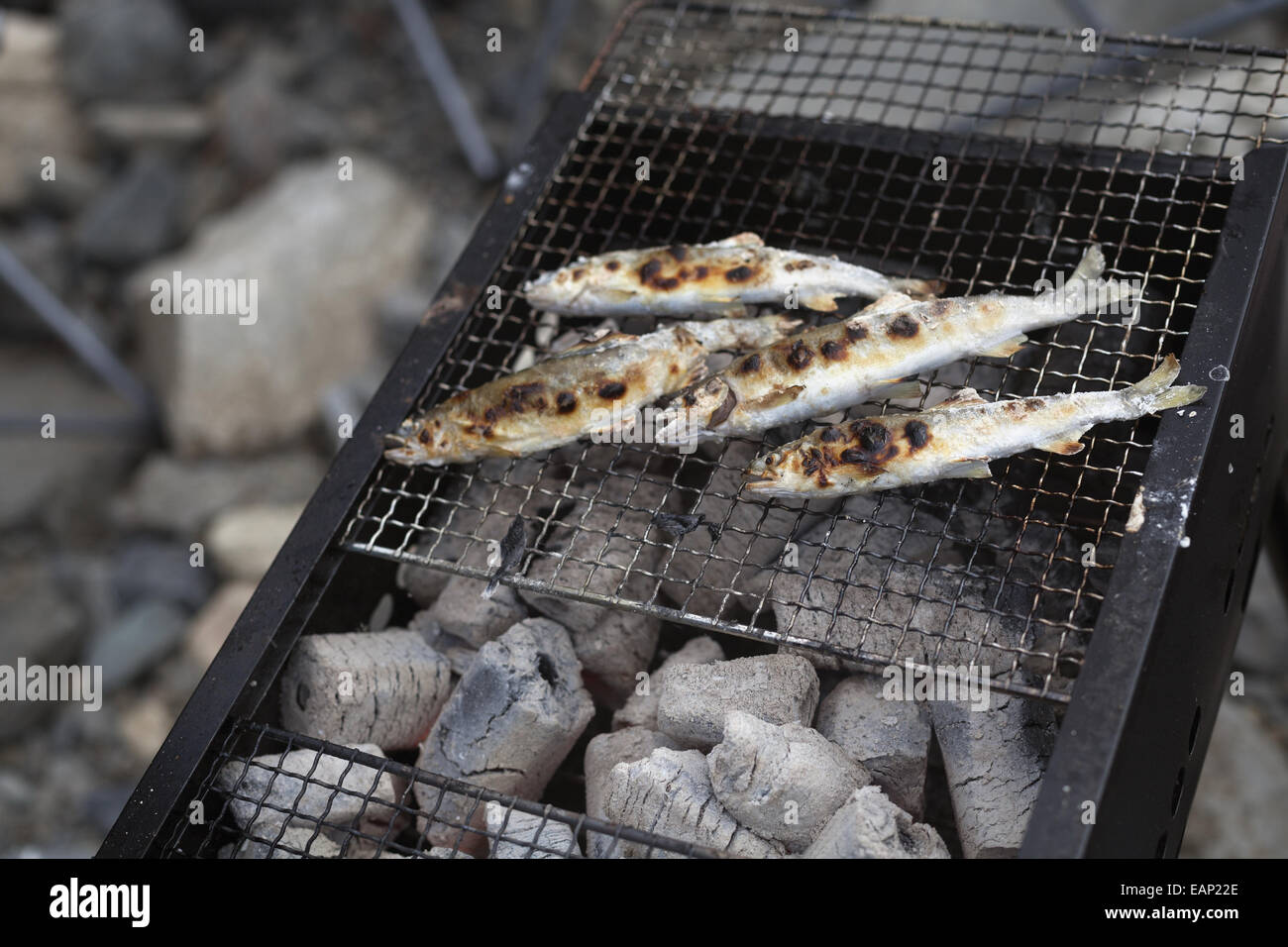 Gegrillter Fisch auf dem Grill bei einem Picknick. Stockfoto