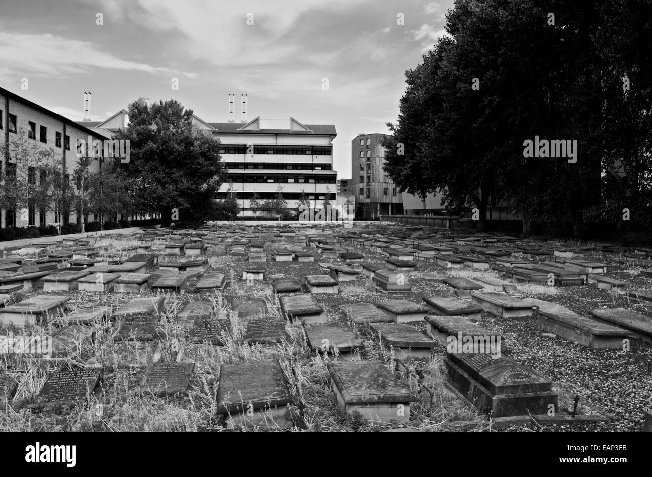 Die klassischem Friedhof, portugiesischen und spanischen Juden in Mile End auf dem Campus der Queen Mary Universität angehören. Monochrom Stockfoto