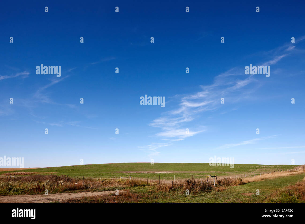 blauer Himmel über der Prärie Felder Saskatchewan Kanada Stockfoto