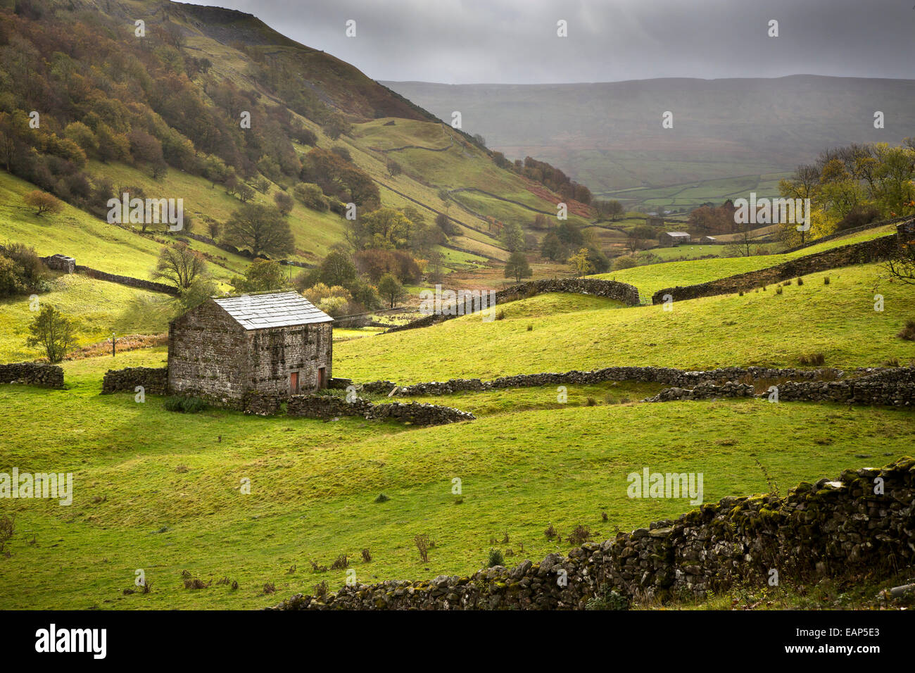 Oberen Swaledale Scheune und Wände, Yorkshire Dasles Nationalpark Stockfoto