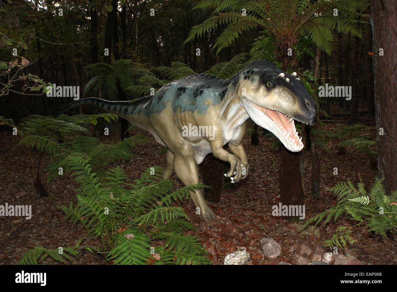 Große Räuber Fleischfresser Allosaurus, lebensechte Dino Statue aus der Jura-Ära im Dinopark Amersfoort Zoo, Niederlande. Stockfoto