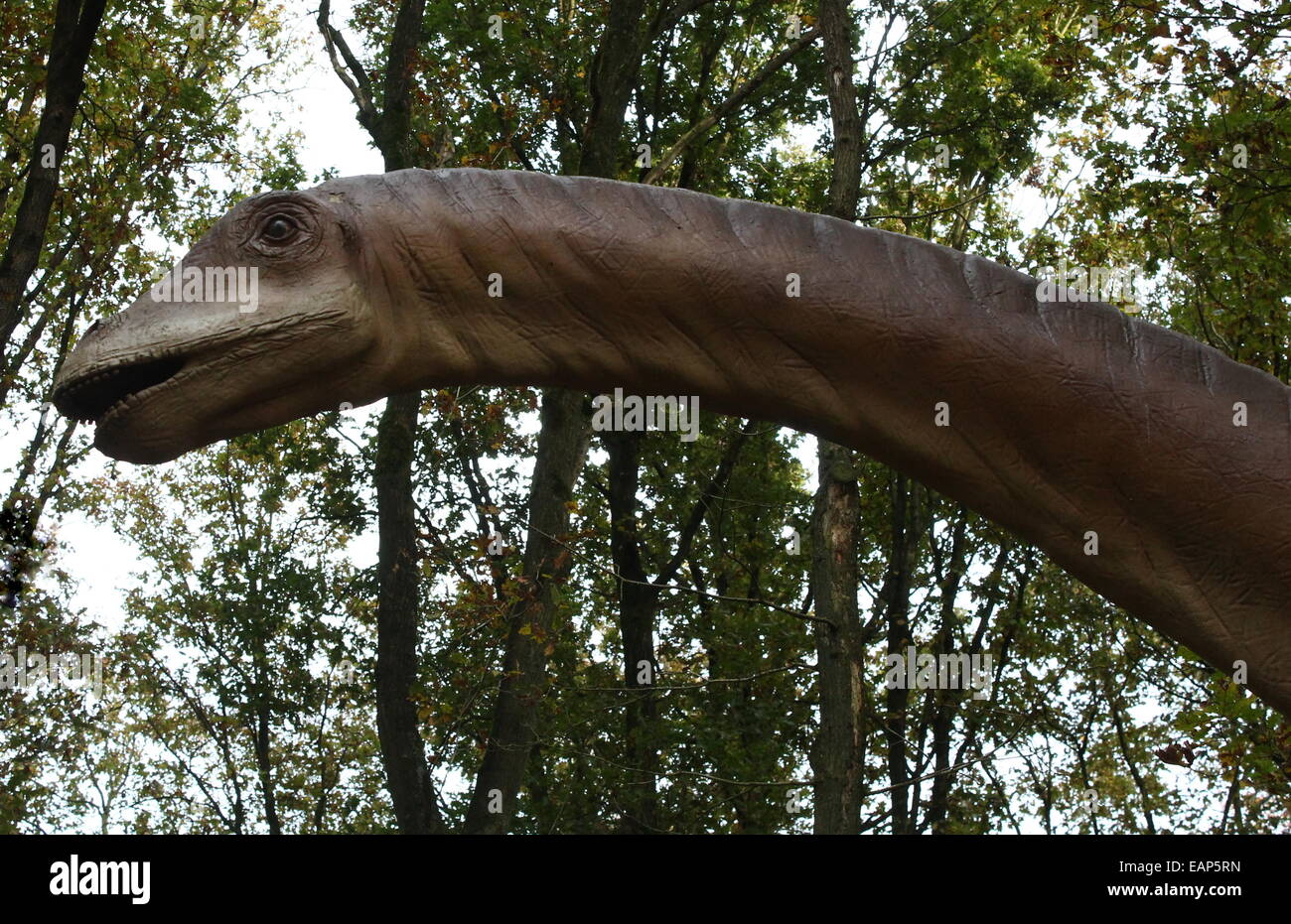 Modell einer Jurassic Ära Diplodocus. Full-Size und lebensechte Dino Statue im Dinopark Amersfoort Zoo, Niederlande. Stockfoto