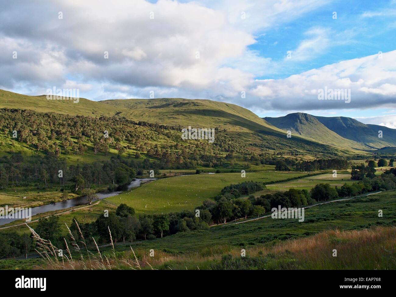 Hügel in der Nähe von Ben Nevis, Schottland, West Highlands Stockfoto