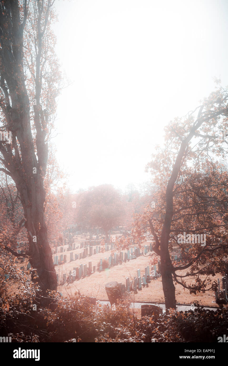 Ordentlichen Reihen Grabsteine auf einem Friedhof durch Bäume Instagram Wirkung Stockfoto