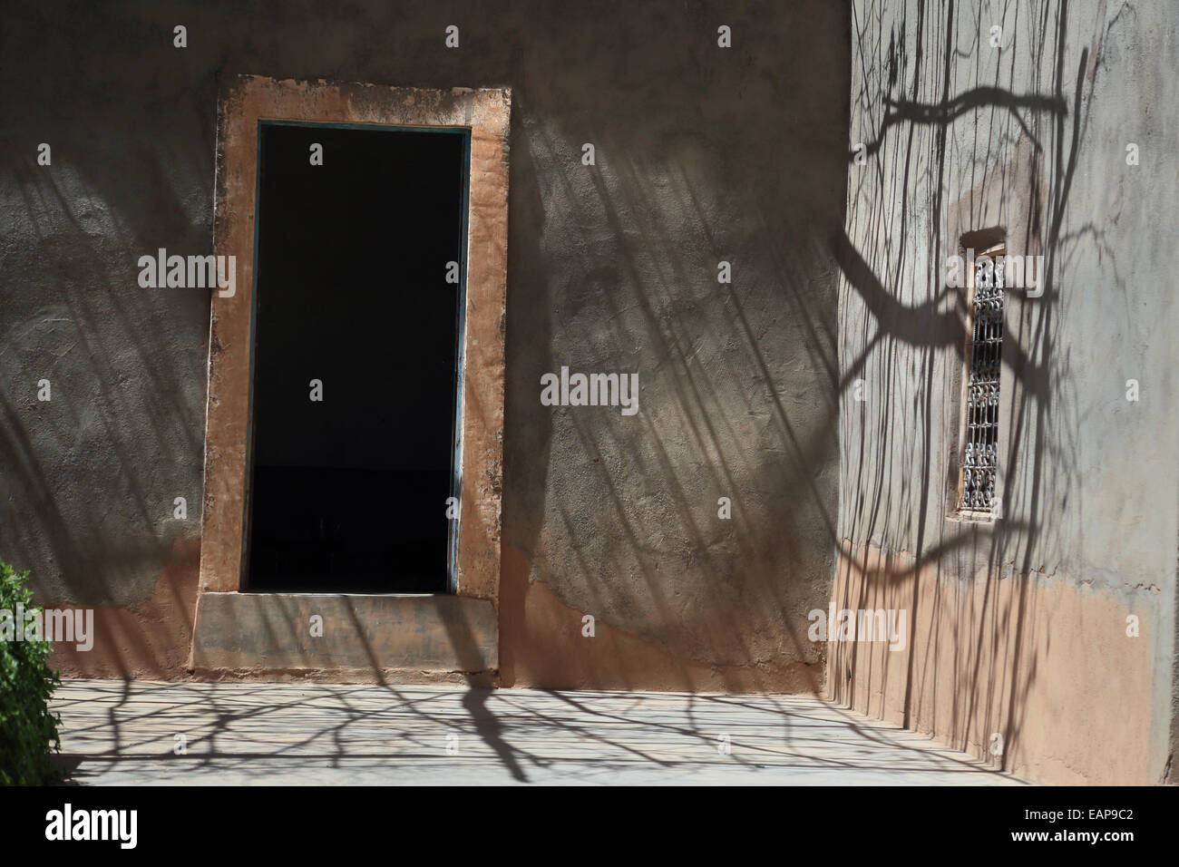 Tür / Fenster in einem Hof auf ein Gelände / Gehöft in der abgelegenen Jebel Sahro Bergregion von Marokko, mit Reben Schatten Stockfoto
