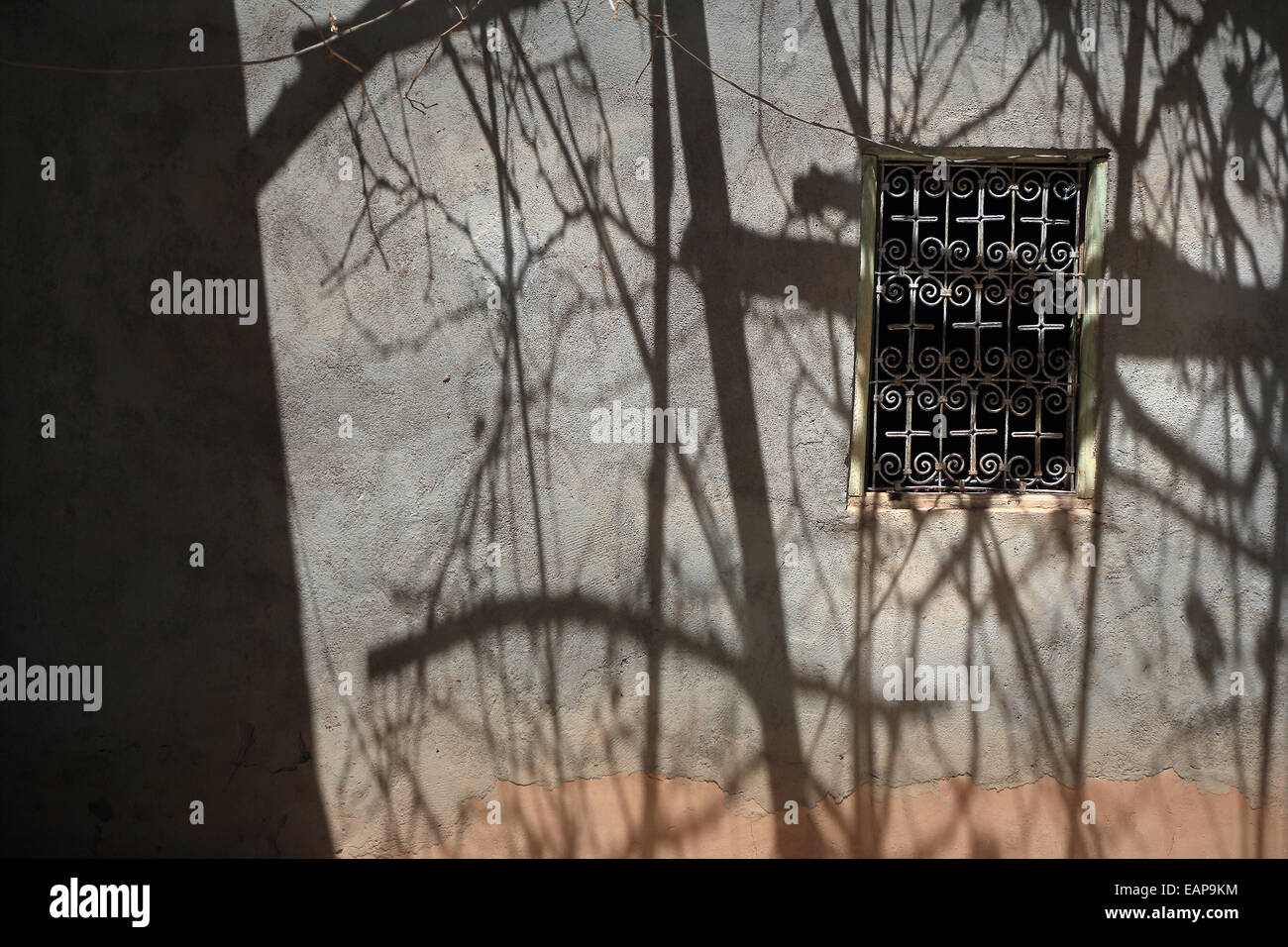 Wand und Fenster in einem Hof auf ein Gelände / Gehöft in der abgelegenen Jebel Sahro Bergregion von Marokko, mit Reben Schatten Stockfoto