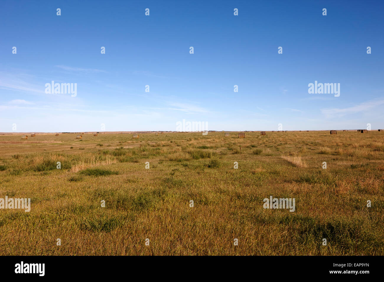 ländliche Prärie Grünland offene Felder Bengough Saskatchewan Kanada Stockfoto