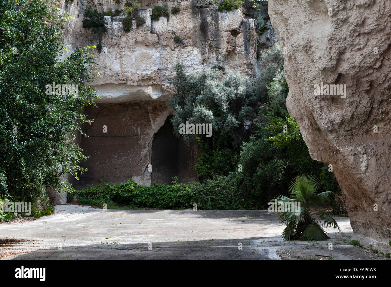 Latomia dei Cappuccini, Syrakus (Siracusa), Sizilien, Italien. Ein riesiger griechischer Steinbruch aus dem 6. Jahrhundert v. Chr., der nach 1588 als Garten von Kapuzinermönchen genutzt wurde Stockfoto