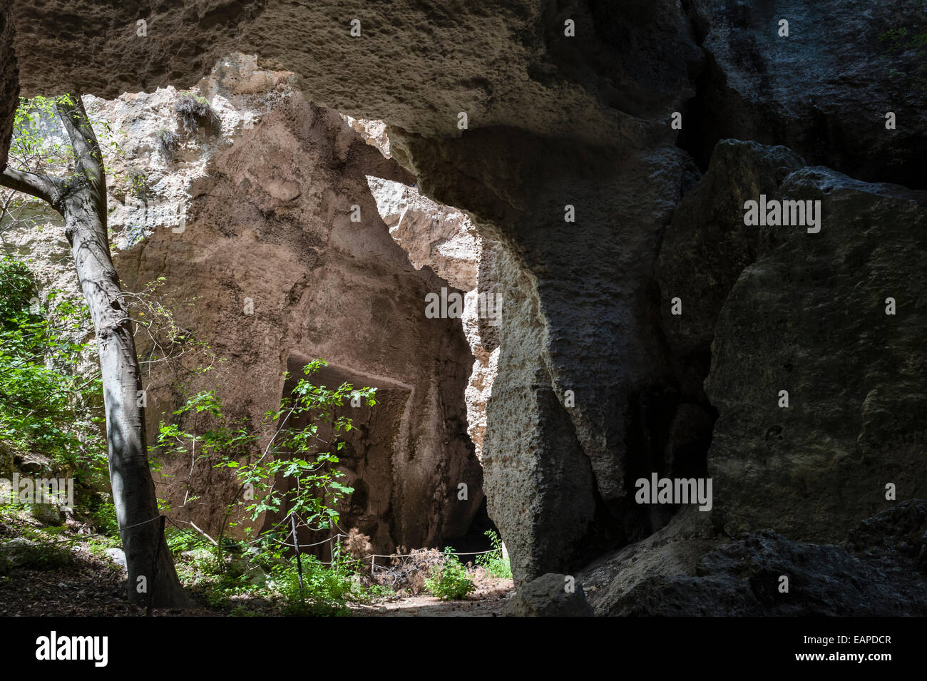 Syrakus (Siracusa), Sizilien, Italien. Latomia dei Cappuccini, ein griechischer Steinbruch aus dem 6. Jahrhundert v. Chr., der nach 1588 von lokalen Kapuzinermönchen als Garten genutzt wurde Stockfoto
