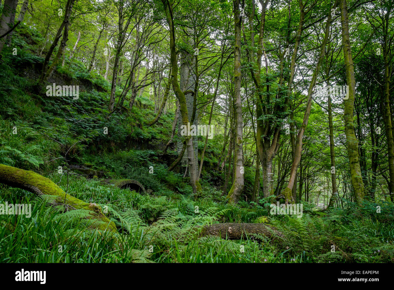 Reste eines Kamins von einer alten Baumwollspinnerei Colden Clough, Yorkshire Stockfoto