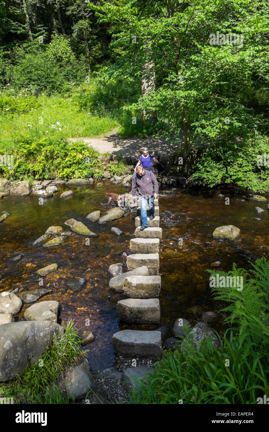 Trittsteine durchqueren Hebden Beck Yorkshire Stockfoto