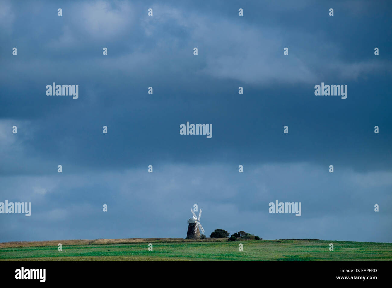Halnaker Windmühle, Goodwood Estate, West Sussex Stockfoto