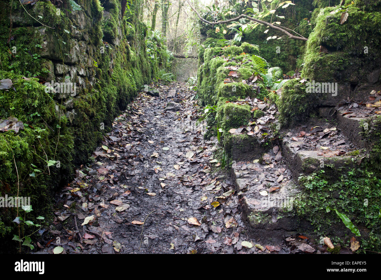 Verlassene Fussells Alte Eisenwerke, Mells, Somerset, England, Großbritannien Stockfoto
