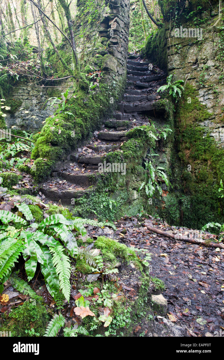 Verlassene Fussells Alte Eisenwerke, Mells, Somerset, England, Großbritannien Stockfoto
