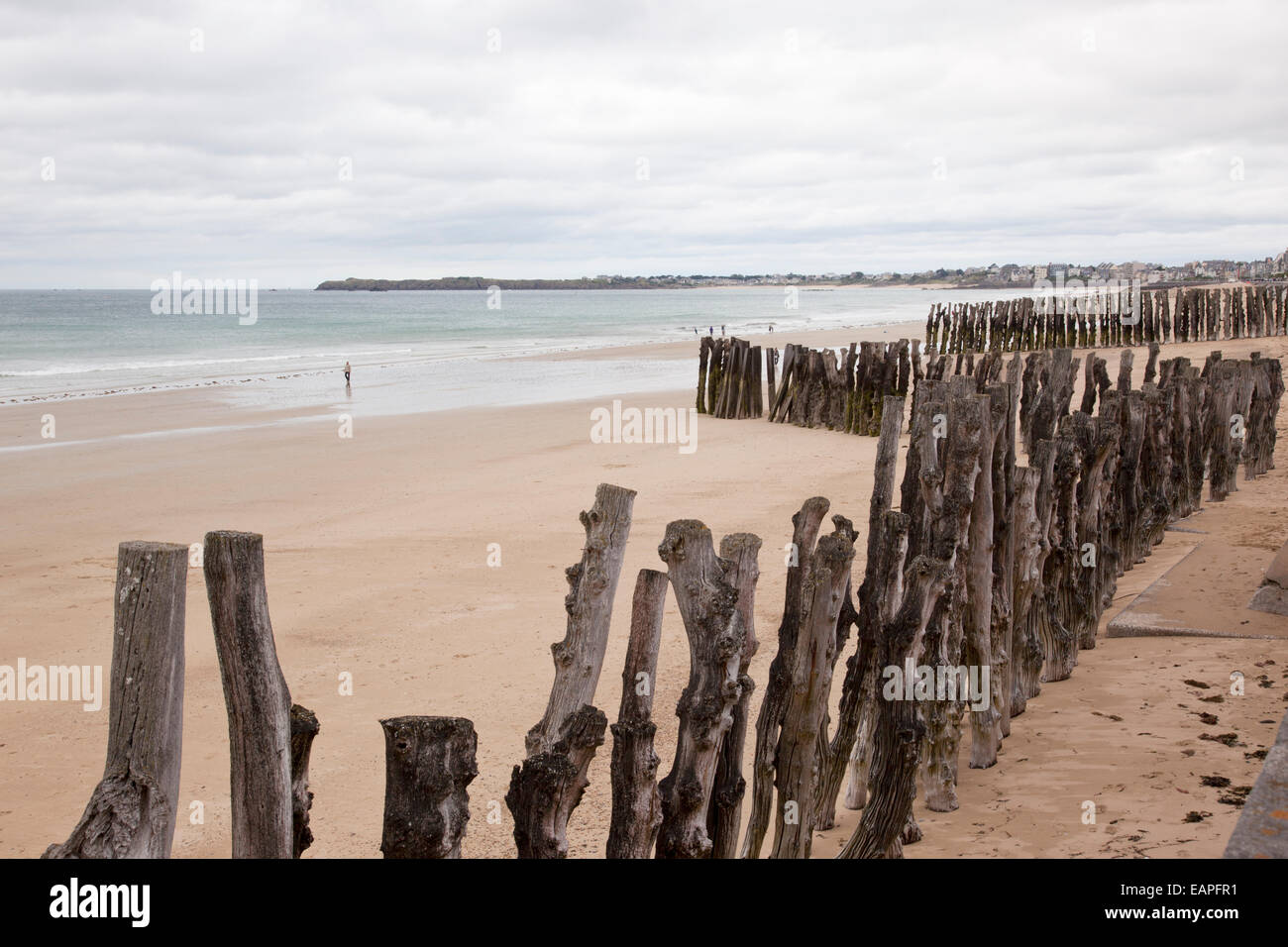 Holzgroynes am Strand von St. Malo, Bretagne, Frankreich Stockfoto