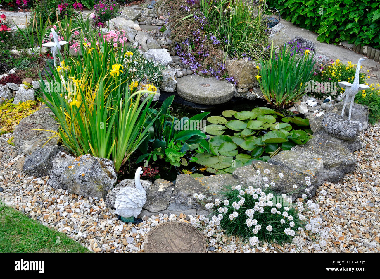 Ein gut gehütetes Gartenteich UK Stockfoto