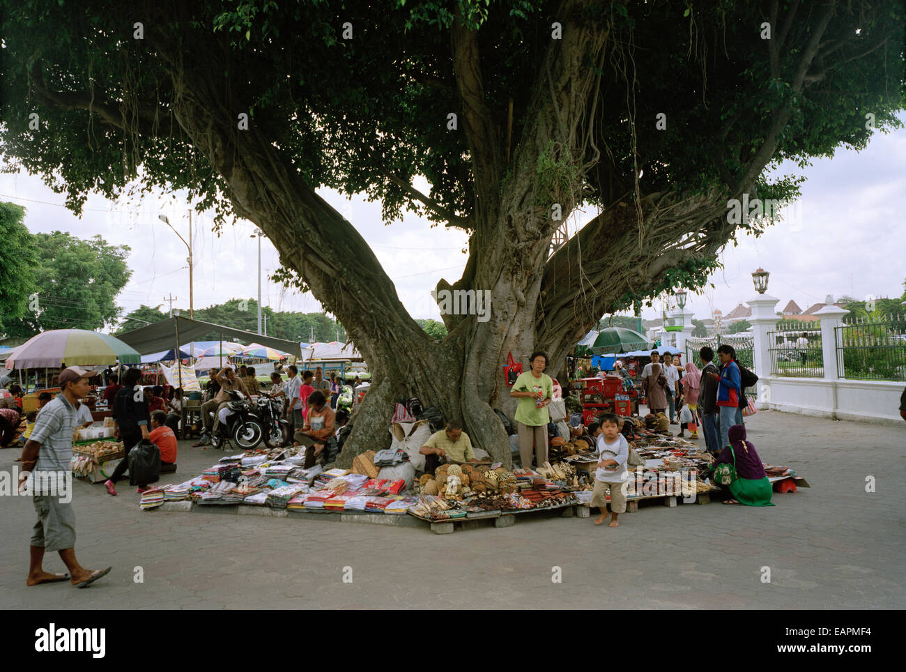 Reisen Fotografie - Street Scene touristische Handel unter einem Banyan Tree außerhalb des Kraton in Yogyakarta Java Indonesien Südostasien Fernost. Menschen Stockfoto