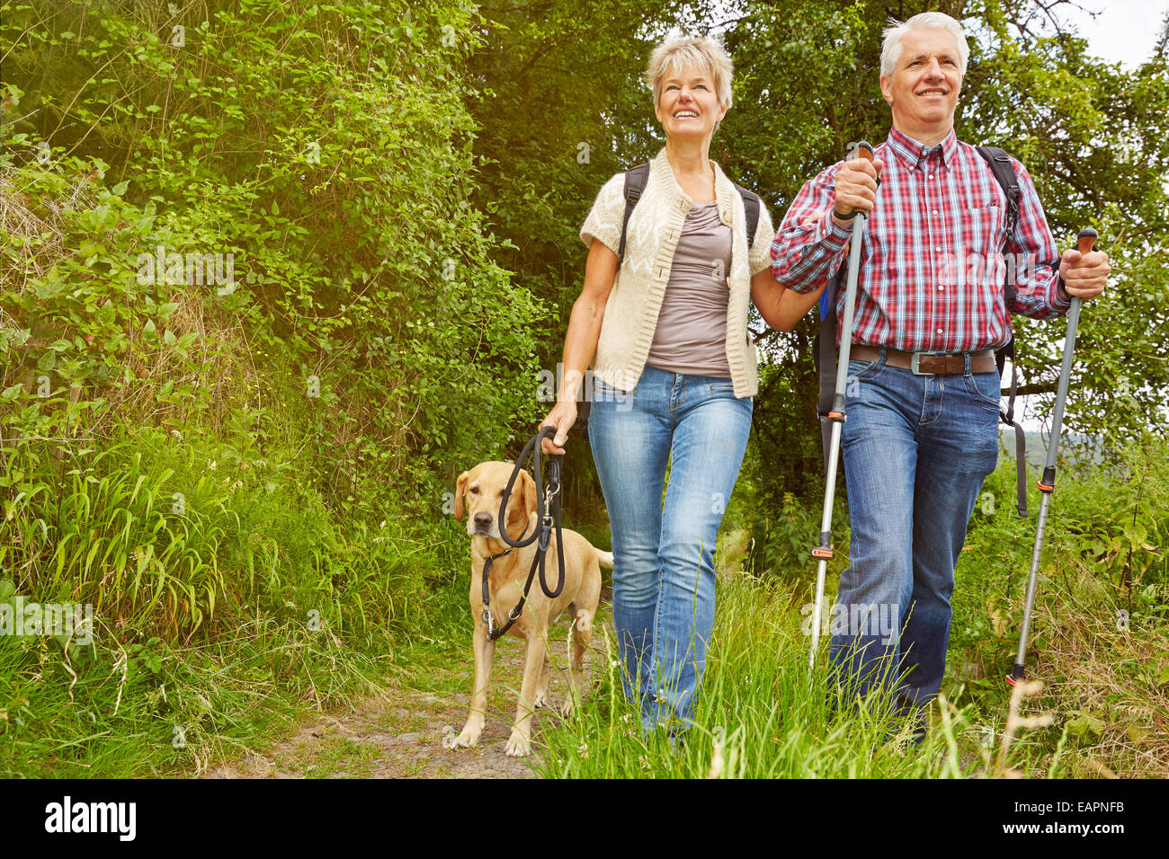 Lächelnd älteres Paar mit Hund auf einer Wanderung im Wald Stockfoto