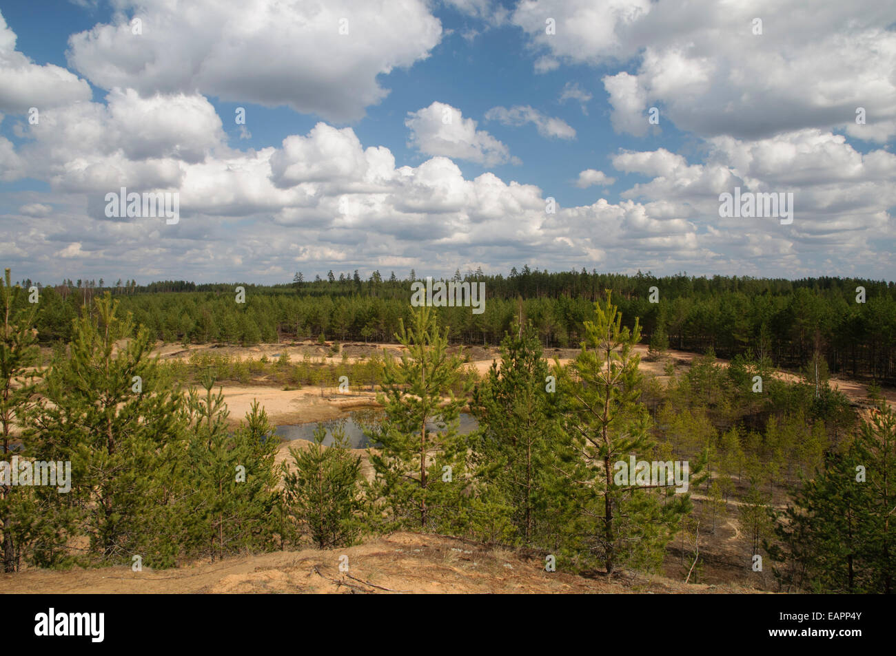 Verlassen die Entnahme von Sand im Nordosten Lettlands Stockfoto