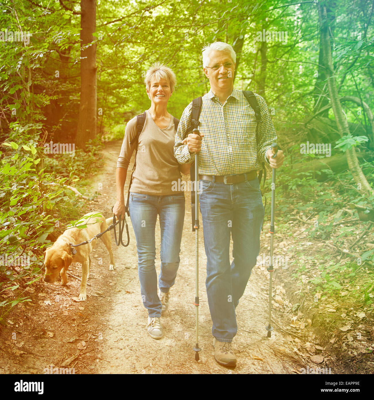 Zwei glückliche ältere Menschen wandern mit Hund in einem Wald Stockfoto
