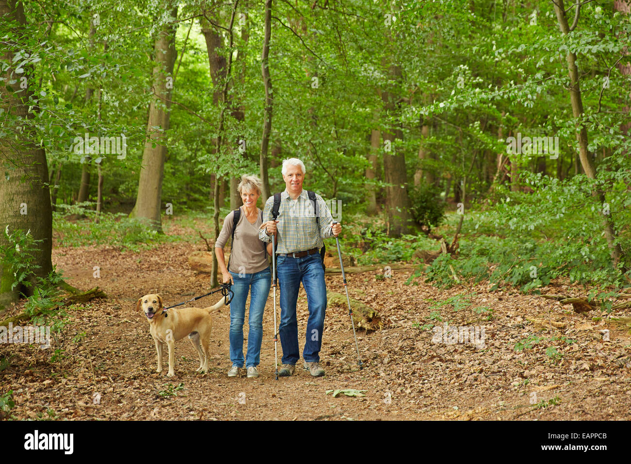 Gerne älteres paar Wachen des Hundes in einem Wald im Sommer Stockfoto