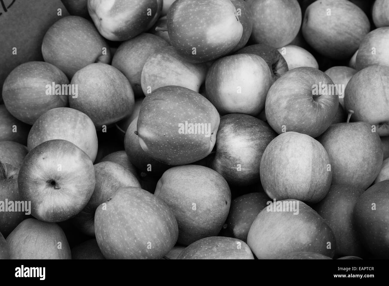 Closeup Äpfel in schwarz / weiß Stockfoto