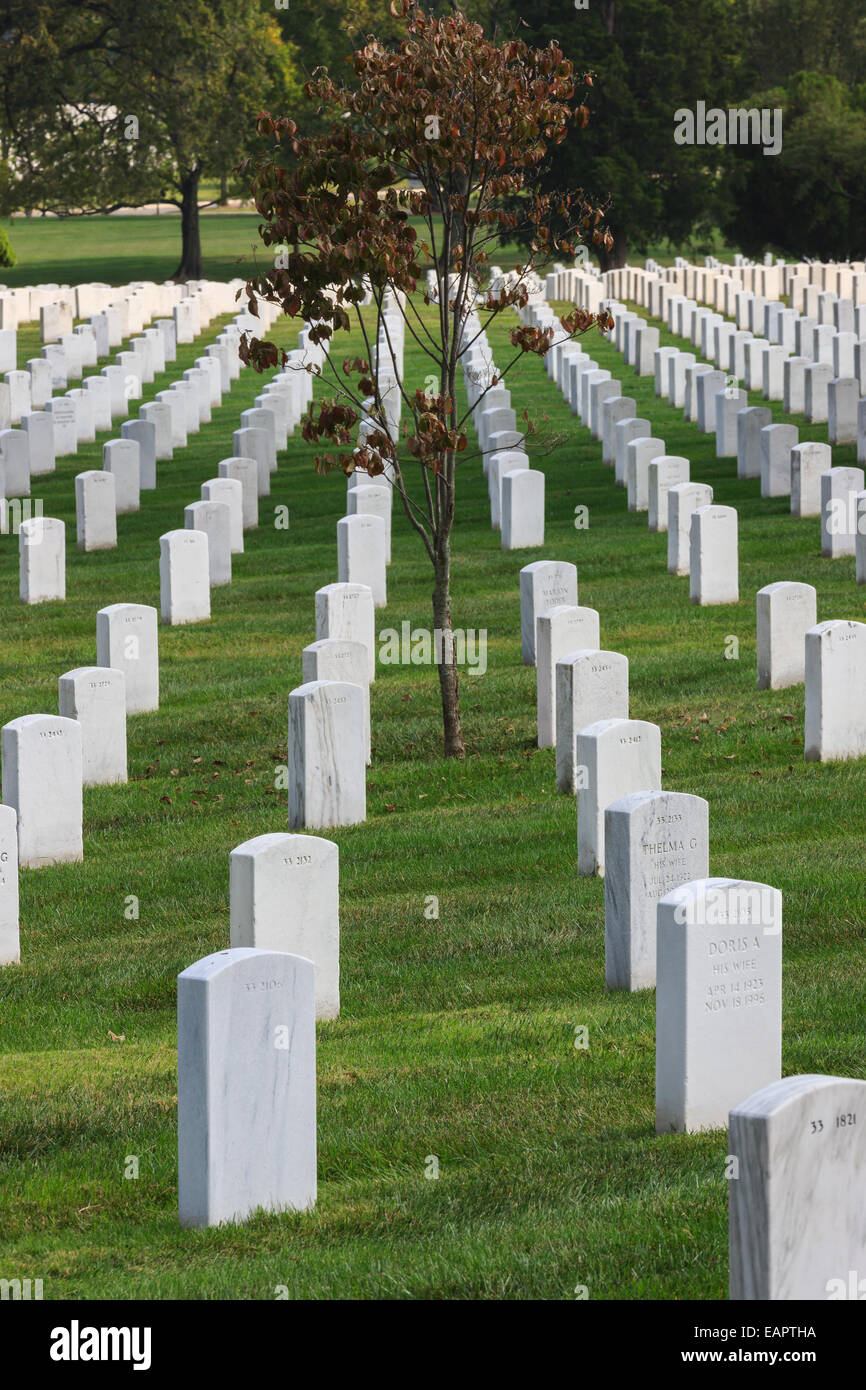 Nationalfriedhof Arlington, Virginia, USA Stockfoto