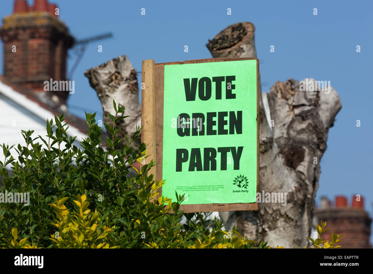 Grüne Partei am Straßenrand Werbung Horten in einem Garten von Norwich. Für erwartete Kommunalwahlen angezeigt. Stockfoto