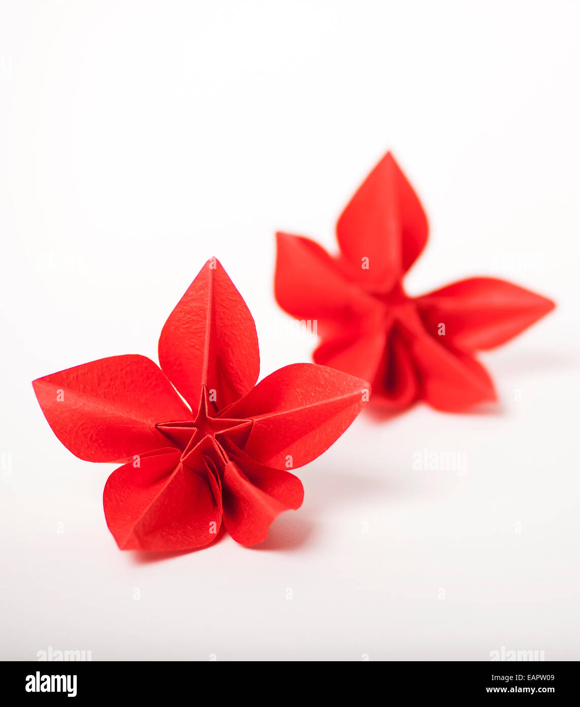 Roten Origami-Blüten Stockfoto
