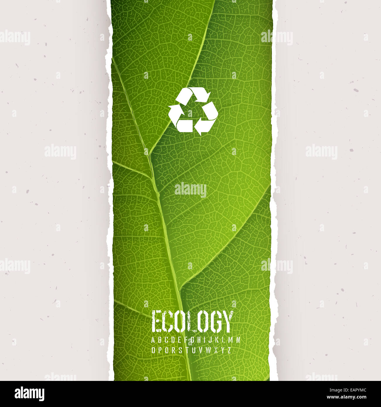 Grünes Blatt-Textur unter zerrissenes Papier mit recycling-Zeichen. Vektor, EPS10 Stockfoto