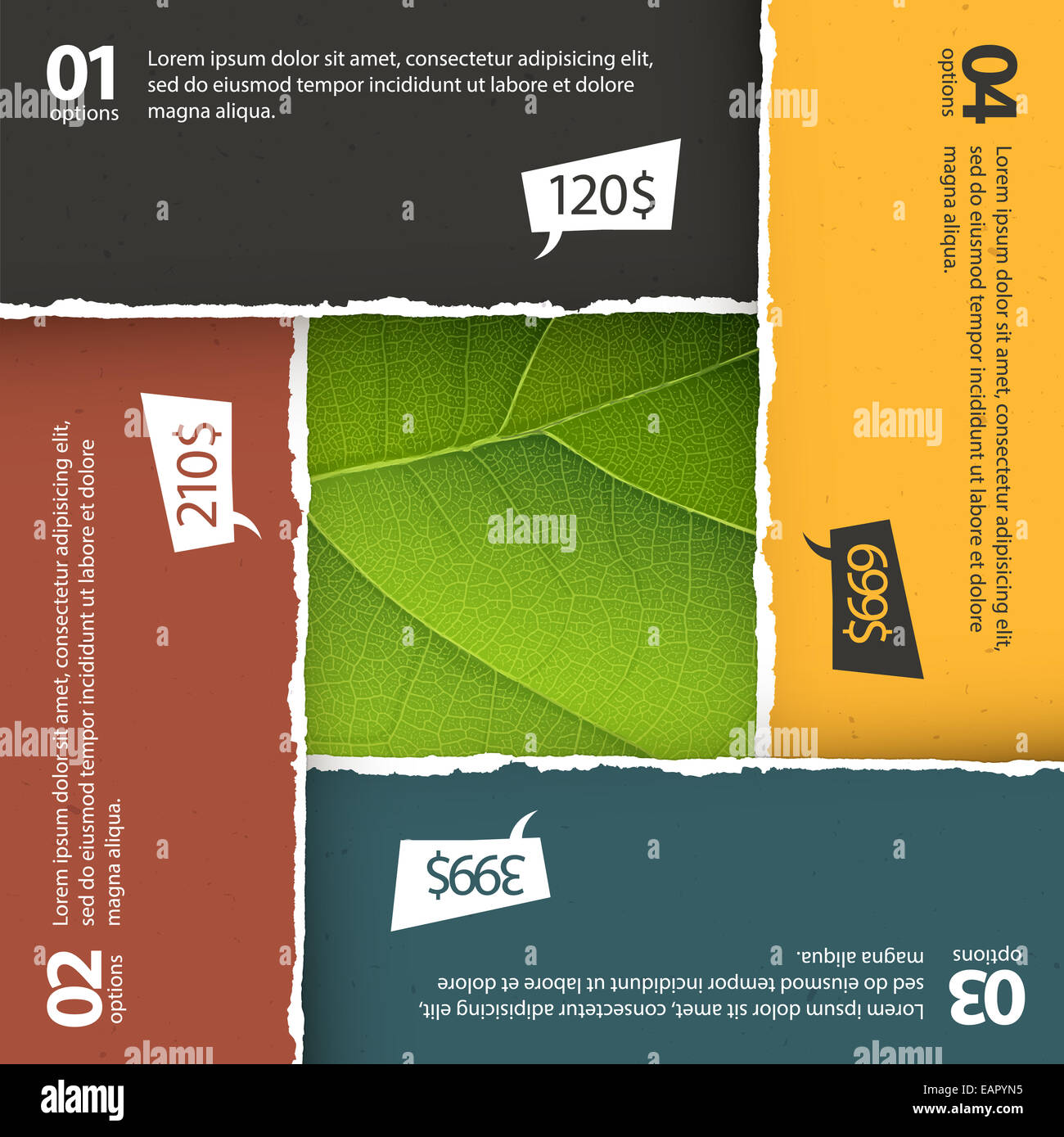 Grünes Blatt-Textur unter zerrissenen bunte Pappteller. Vektor, EPS10 Stockfoto