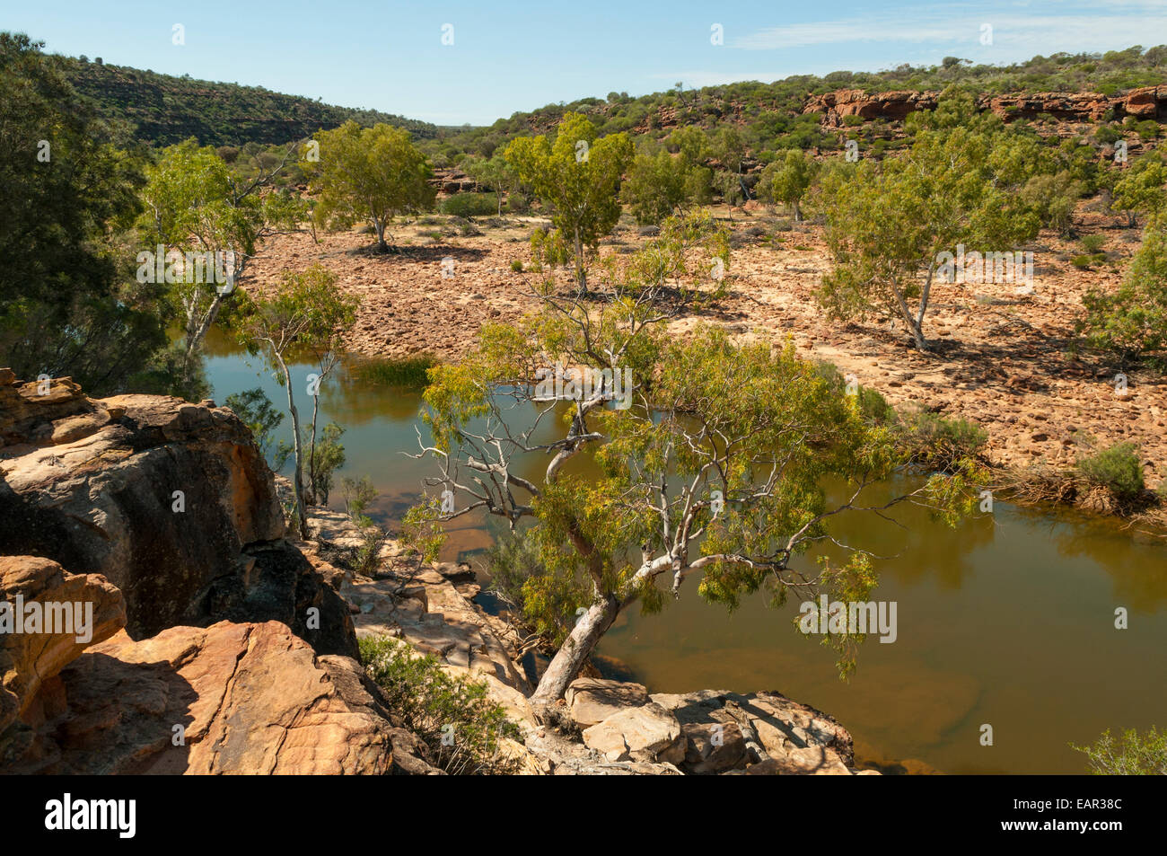 Murchison River unterhalb Ross Graham Lookout in Kalbarri NP, WA, Australien Stockfoto