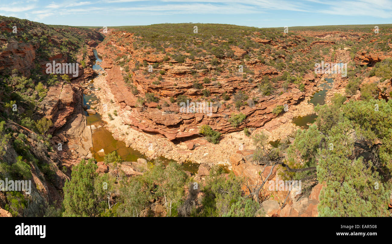 Murchison River aus Z Bend Lookout, Kalbarri NP, WA, Australien Stockfoto
