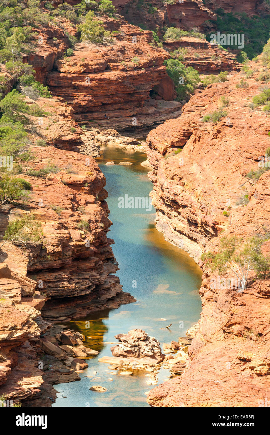 Blick vom Z Bend Lookout, Kalbarri NP, WA, Australien Stockfoto