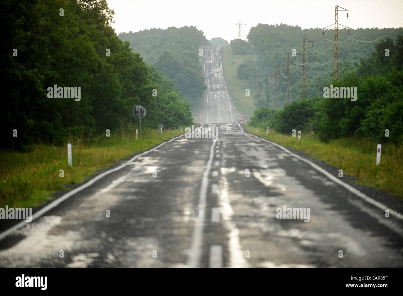 Lange leere Straße durch den Wald nach dem Regen Stockfoto