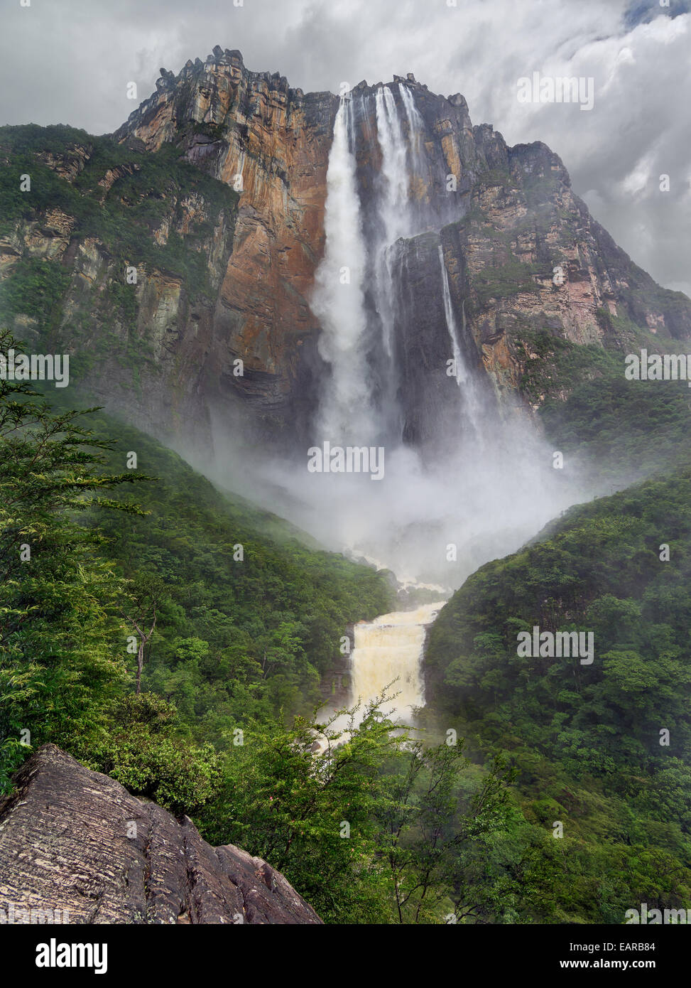 Blick auf den höchsten in der Welt kontinuierlich Angel Falls. Dschungel von Venezuela. Der Wasserfall ist 994 m. Stockfoto