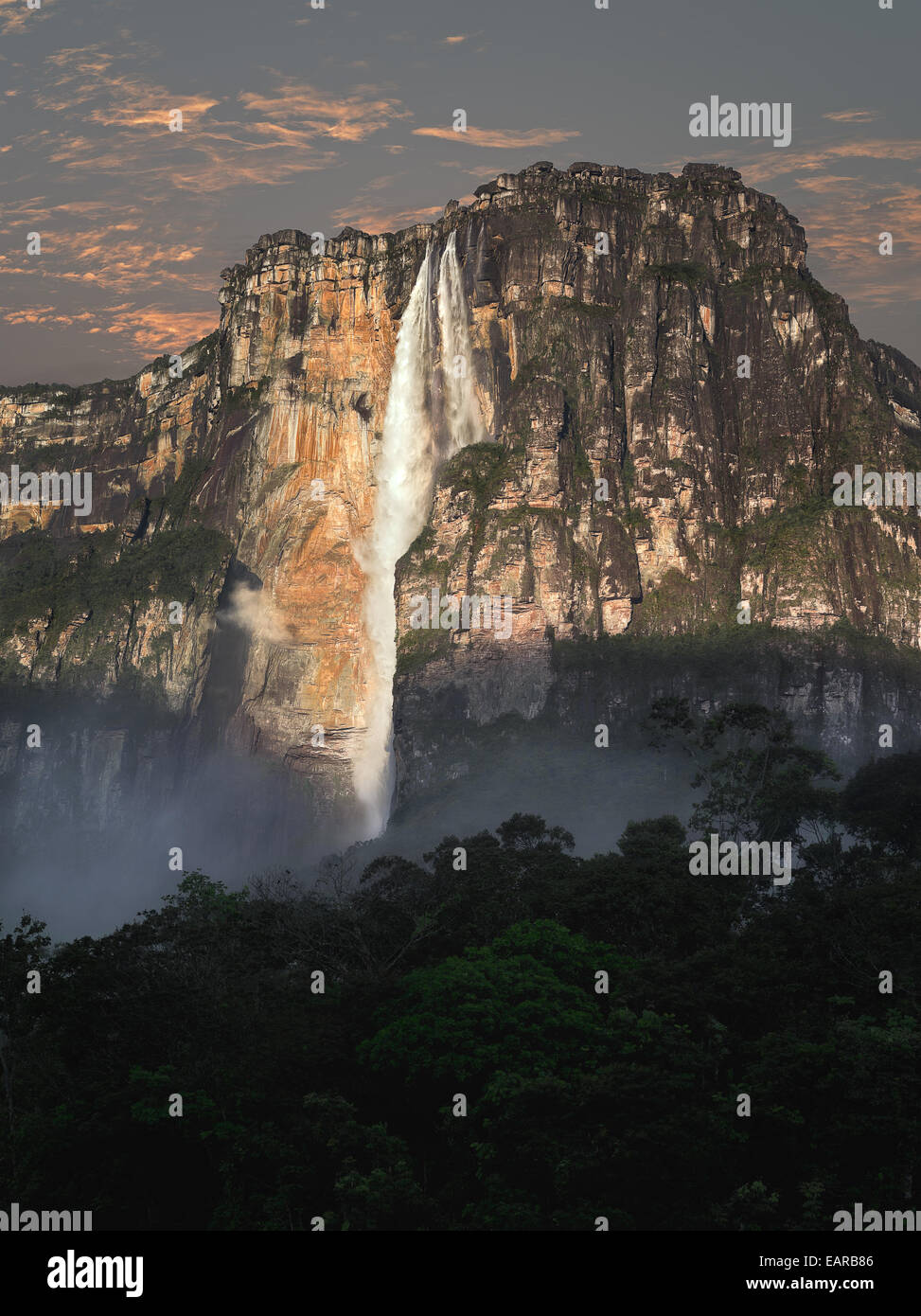 Morgendämmerung am den Angel Falls in Venezuela Dschungel. Stockfoto