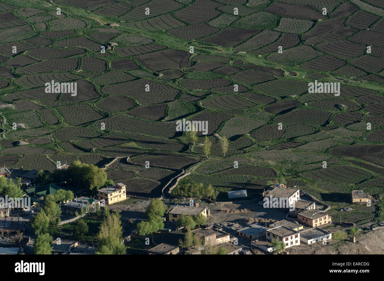 Luftaufnahme von Kaza Dorf und kleine Felder, Spiti Valley, Kaza, Himachal Pradesh, Indien Stockfoto