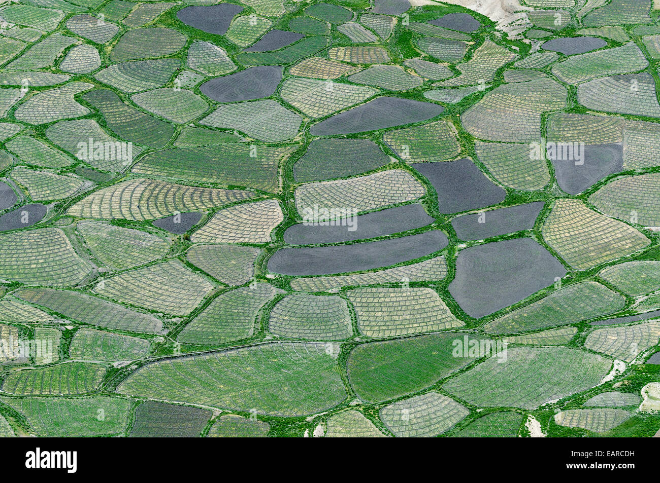 Luftbild, kleine Felder, Spiti Valley, Himachal Pradesh, Indien Stockfoto
