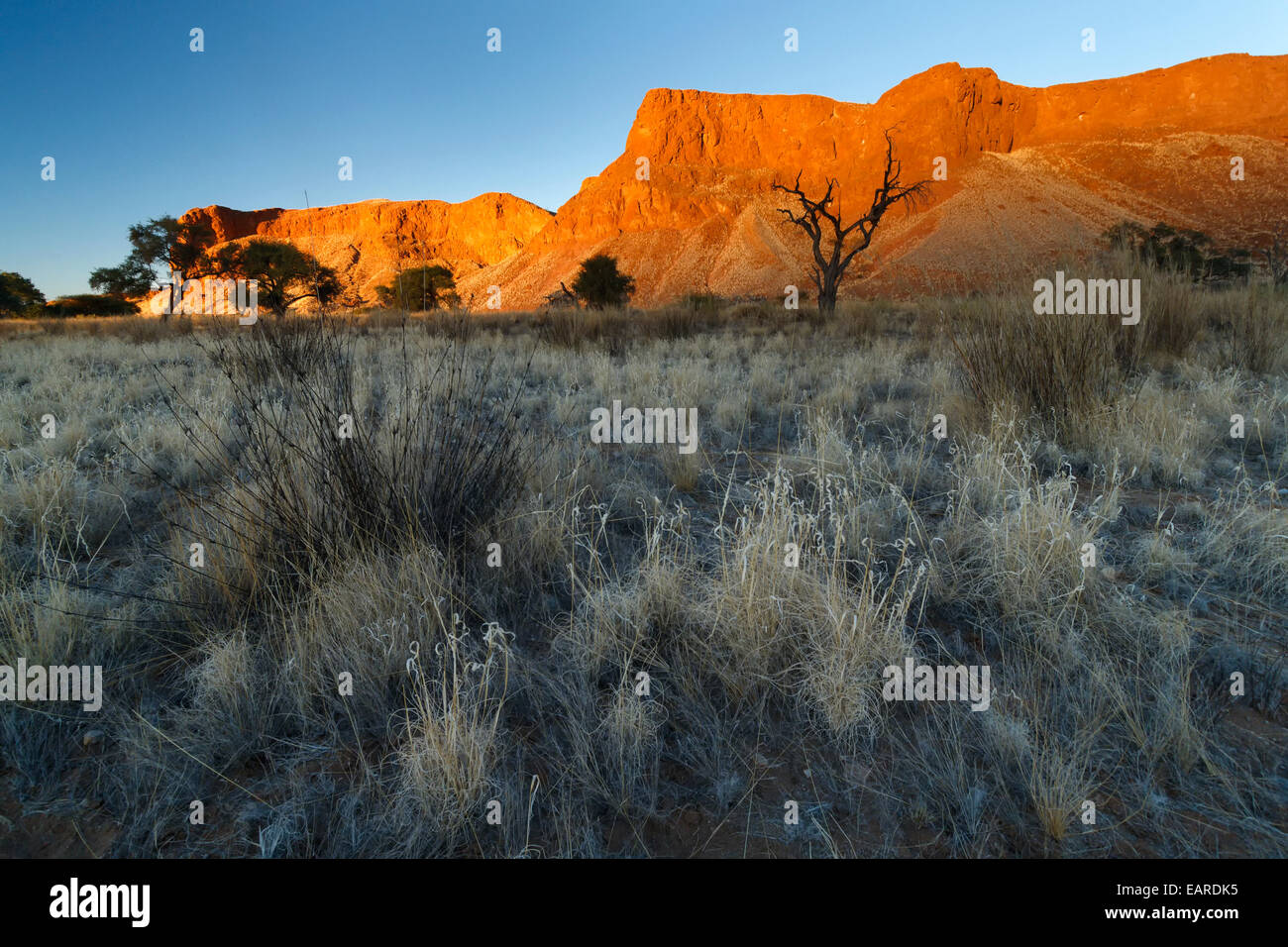 Versteinerten Dünen von Urnamib, Constantia, Khomas Region, Namibia Stockfoto
