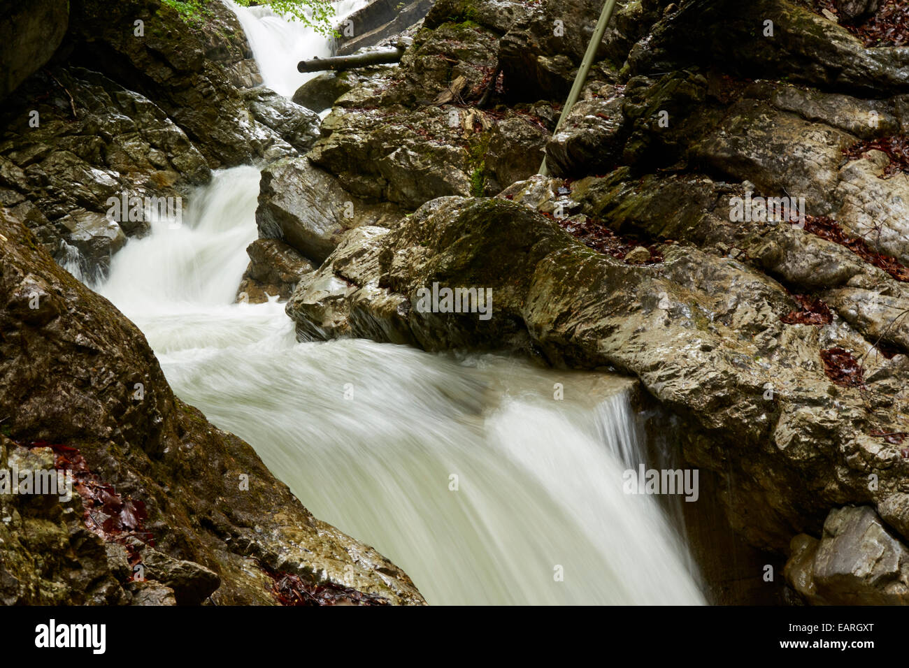 Schlucht in den Allgäuer Alpen Stockfoto