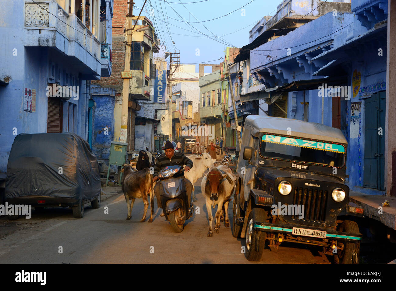 Indien, Rajasthan Region Mewar, Bundi dörfliche Atmosphäre einer Straße mit seiner heiligen Kühe Stockfoto