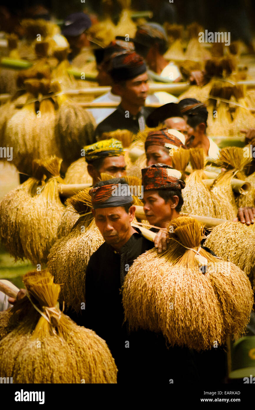 Die Ältesten der traditionellen Gemeinde, die beim jährlichen Erntedanksgiving-Festival in Ciptagelar, West-Java, Indonesien, Reistropfen mit sich führen. Stockfoto