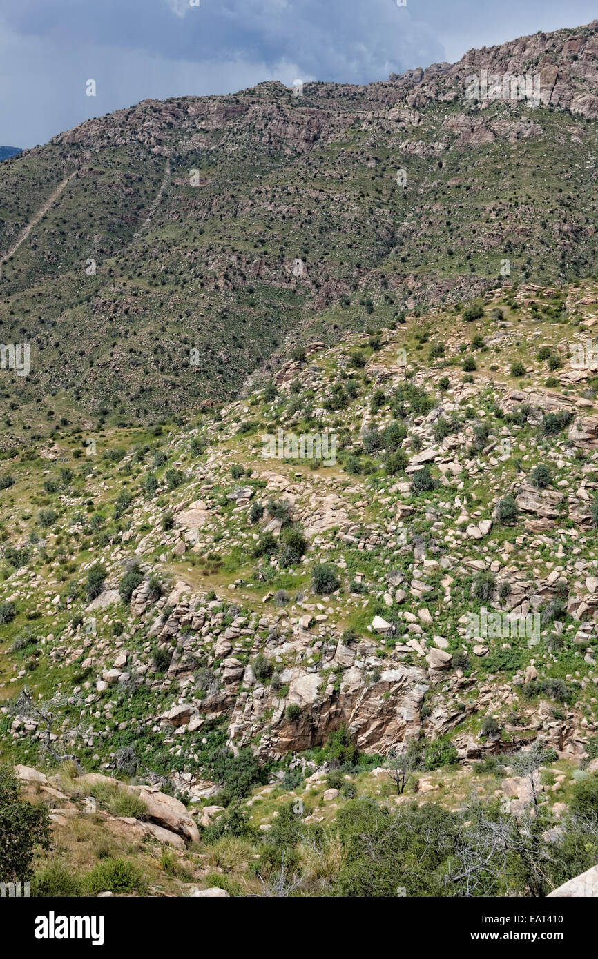 Die exponierten Geologie auf Mt. Lemmon ist Granit und einem metamorphen Granit Gneis genannt. Stockfoto